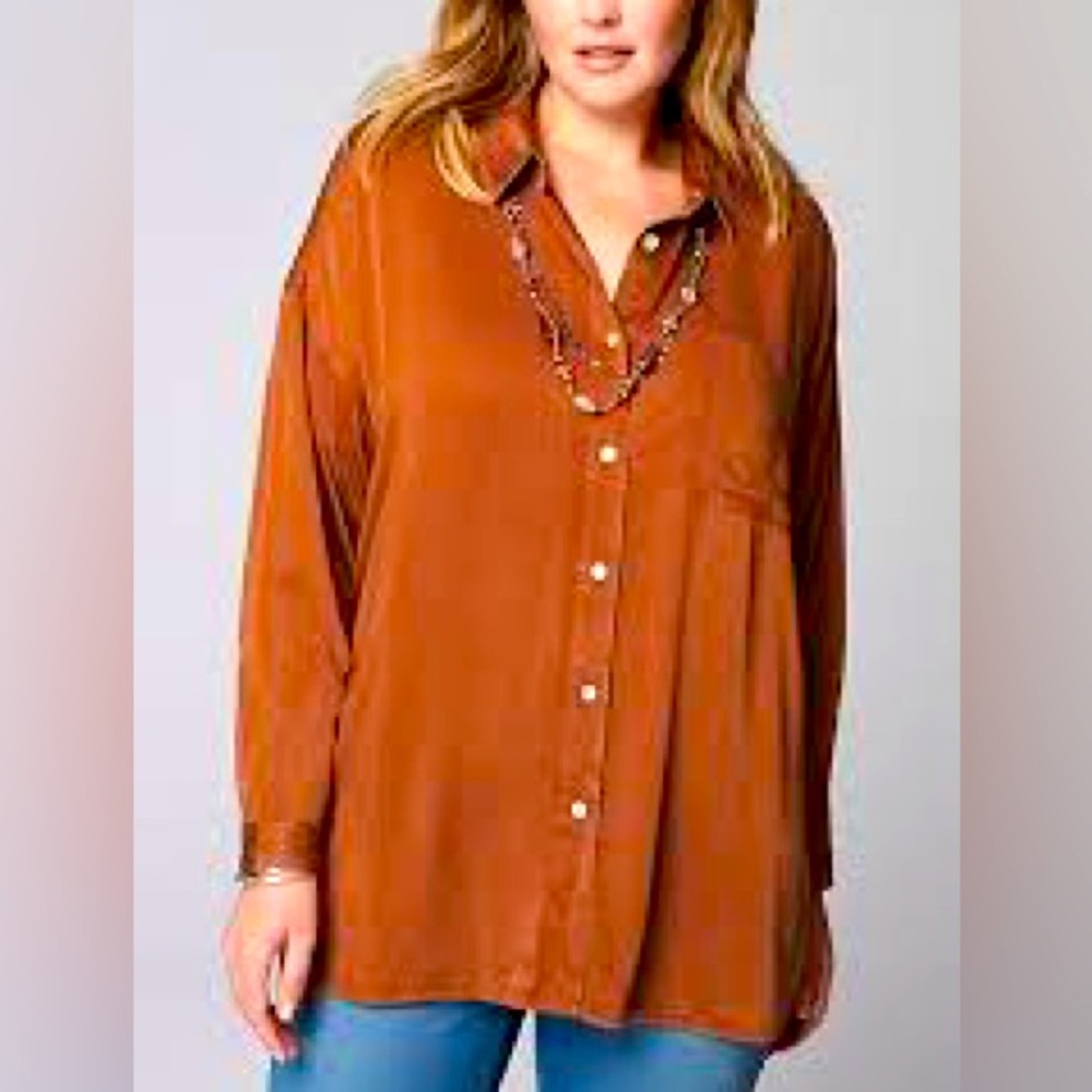 Zara Longsleeve Soft Shiny Brown Brique Color Blouse